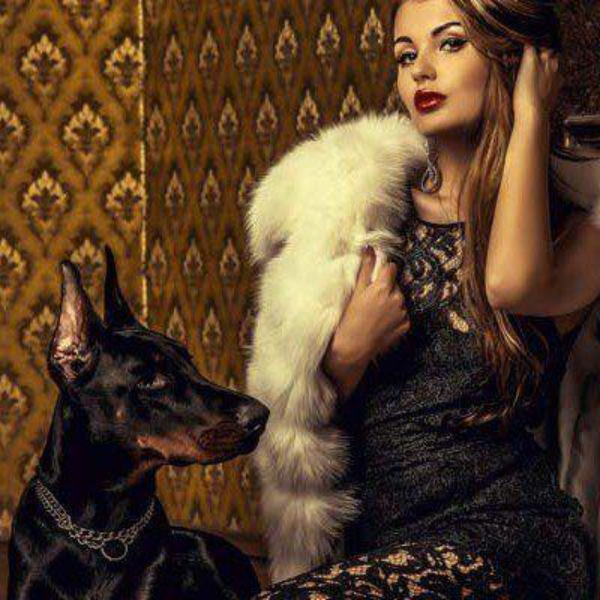 Noble title certificate with coat of arms representing over 20 years of experience in aristocratic titles